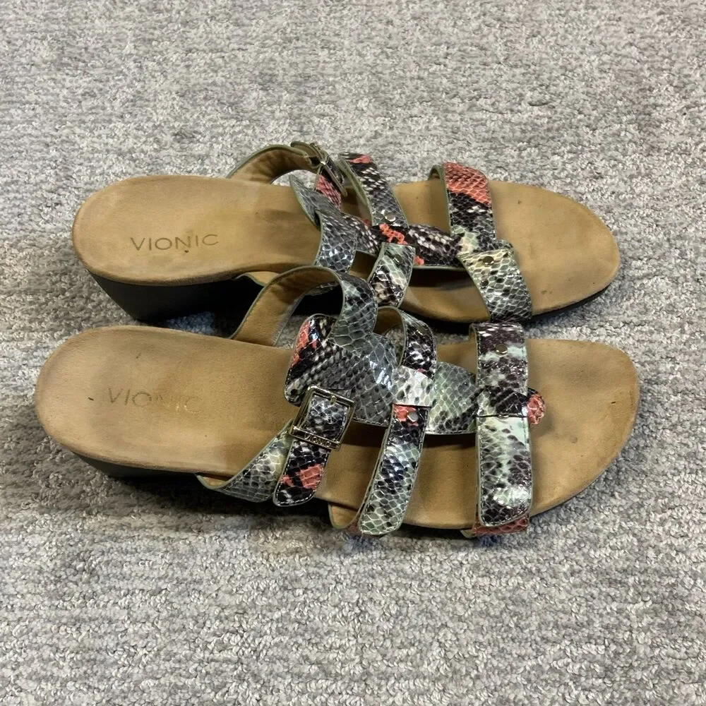 Vionic radia slides